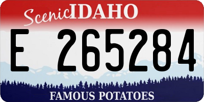 ID license plate E265284