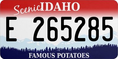 ID license plate E265285
