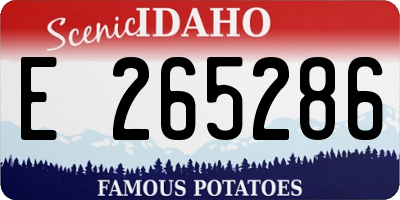ID license plate E265286