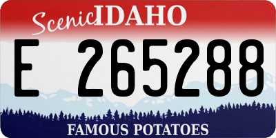 ID license plate E265288