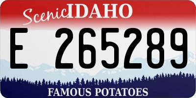 ID license plate E265289
