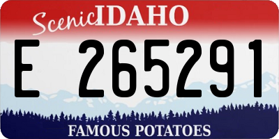 ID license plate E265291
