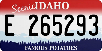 ID license plate E265293
