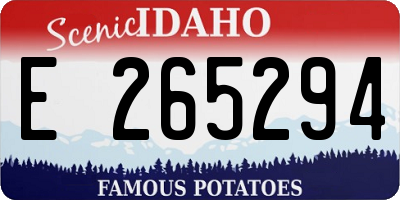 ID license plate E265294