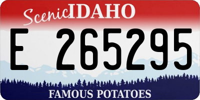 ID license plate E265295