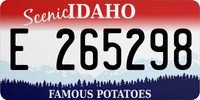 ID license plate E265298