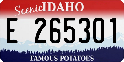ID license plate E265301