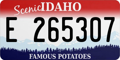 ID license plate E265307