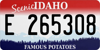 ID license plate E265308