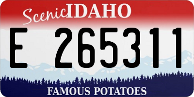 ID license plate E265311