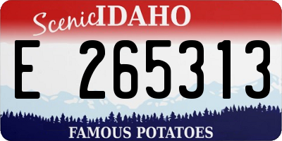 ID license plate E265313