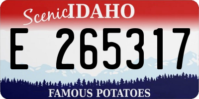 ID license plate E265317