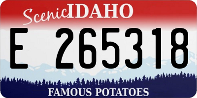 ID license plate E265318