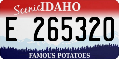 ID license plate E265320