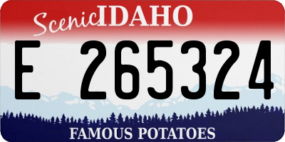 ID license plate E265324