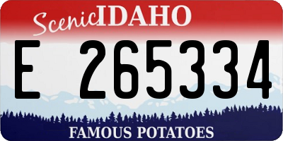 ID license plate E265334