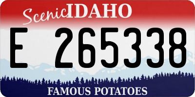 ID license plate E265338