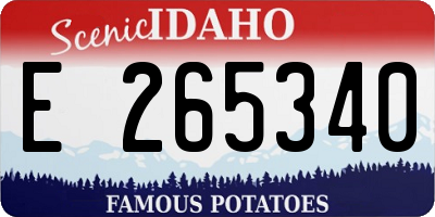 ID license plate E265340
