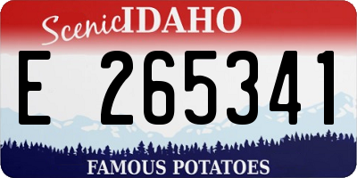 ID license plate E265341