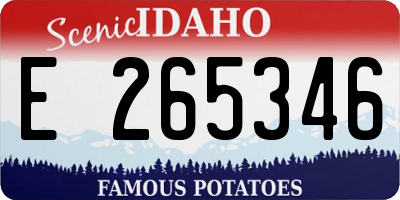 ID license plate E265346
