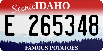 ID license plate E265348