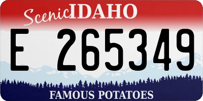 ID license plate E265349
