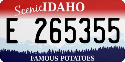 ID license plate E265355