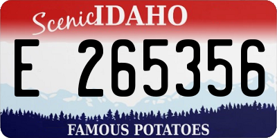 ID license plate E265356