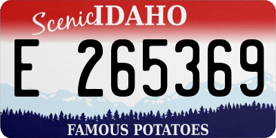 ID license plate E265369