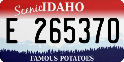 ID license plate E265370