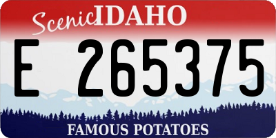 ID license plate E265375
