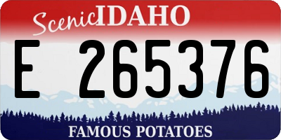 ID license plate E265376