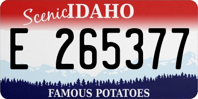 ID license plate E265377