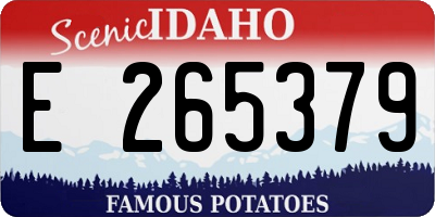 ID license plate E265379