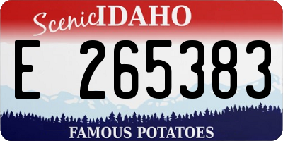 ID license plate E265383