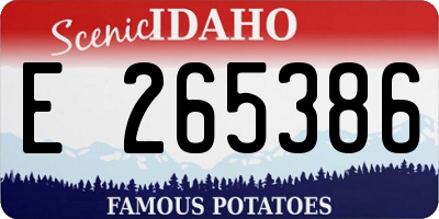 ID license plate E265386