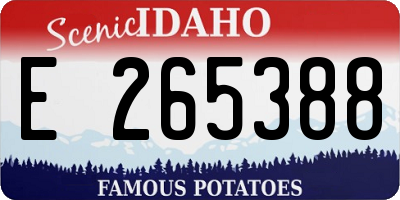 ID license plate E265388