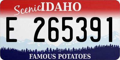 ID license plate E265391