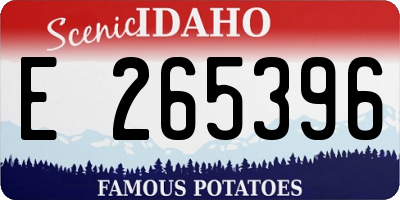 ID license plate E265396