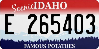 ID license plate E265403