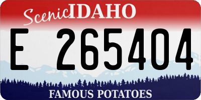 ID license plate E265404