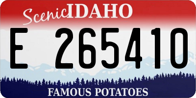 ID license plate E265410