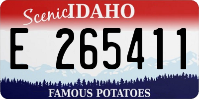 ID license plate E265411