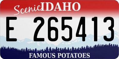 ID license plate E265413