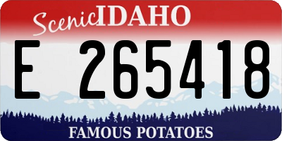 ID license plate E265418