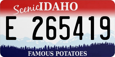 ID license plate E265419