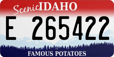 ID license plate E265422