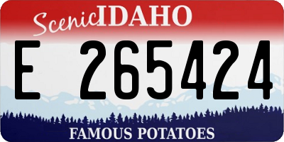 ID license plate E265424