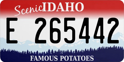 ID license plate E265442