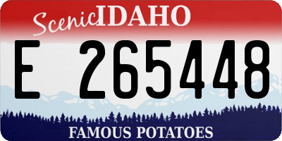 ID license plate E265448